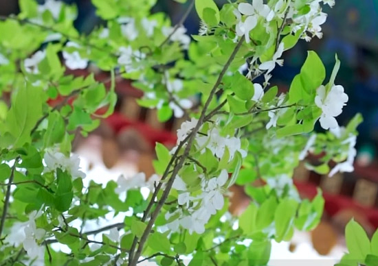 jxf吉祥坊(中国)官方网站